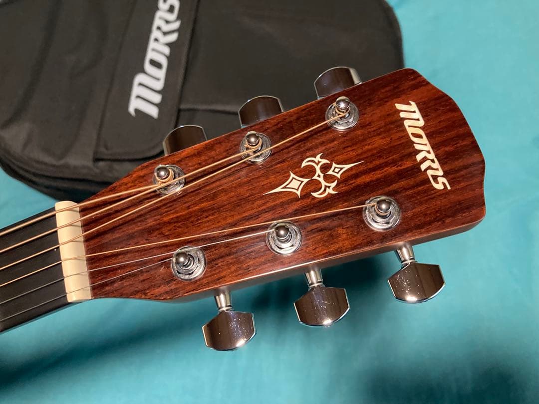 Morris M-351 NAT モーリスアコースティックギター