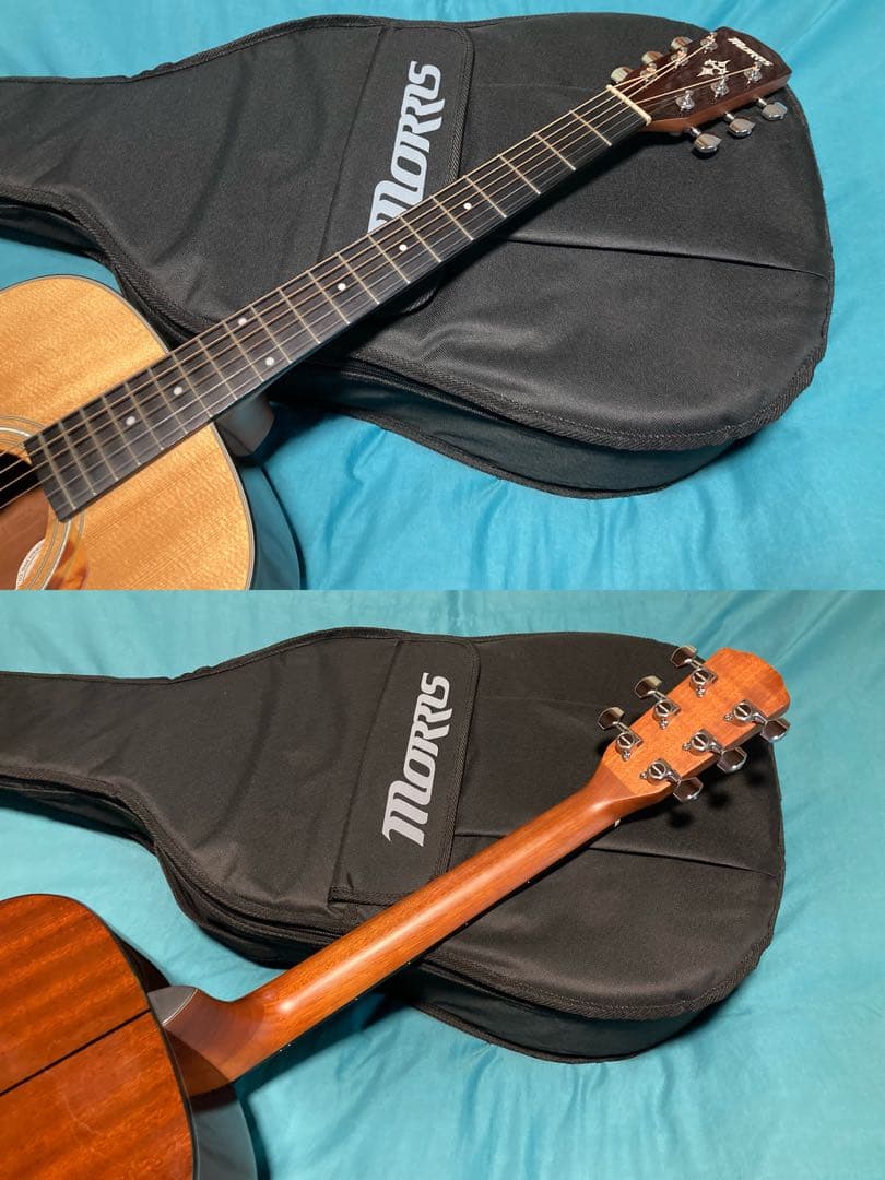 Morris M-351 NAT モーリスアコースティックギター