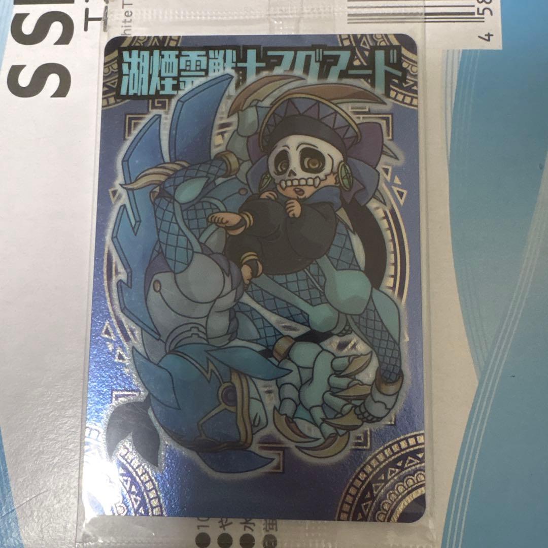 アクアード トレーディングカード 069