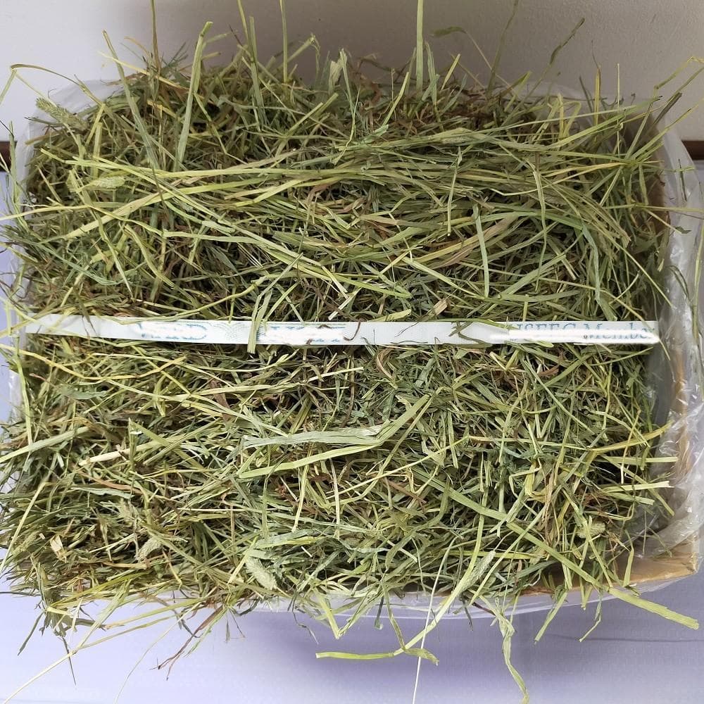 【4/30まで】US産 チモシー 50kg ２番刈り ソフトSプレミアム