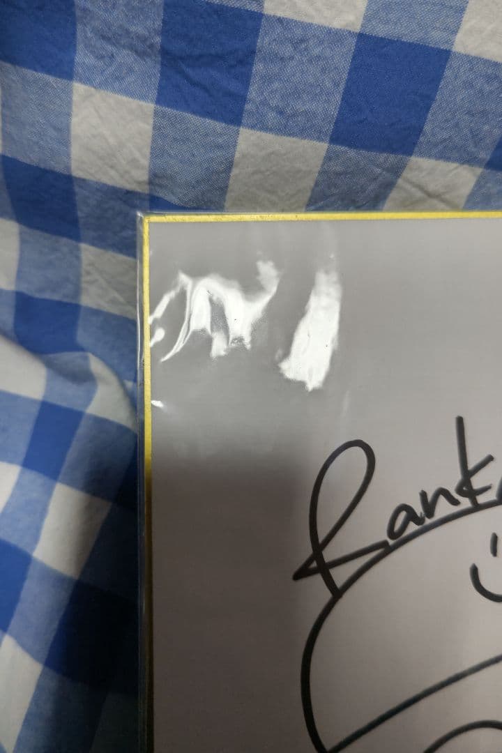 マクロスF ランカ・リー 直筆サイン色紙「中島愛」