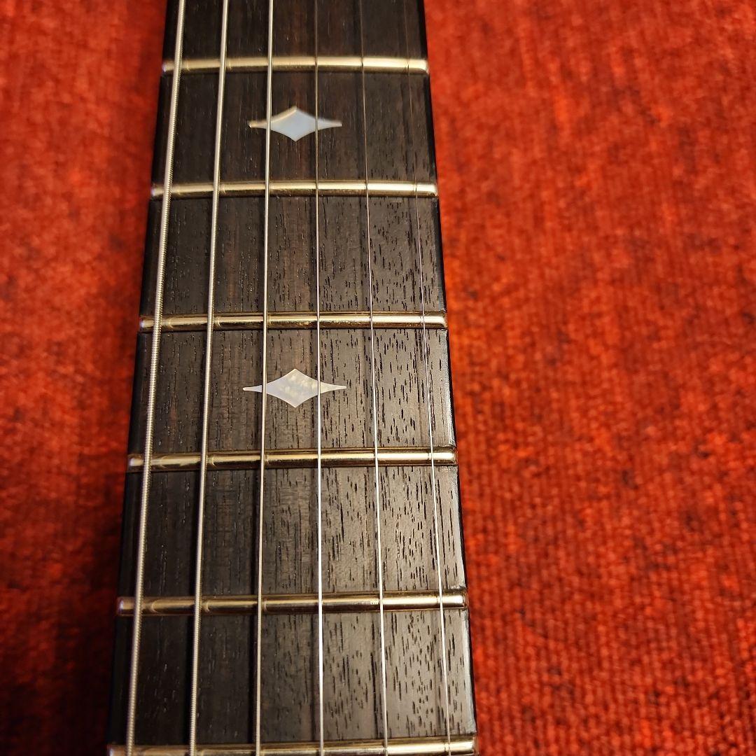 DBZ GUITARS INFINITY MONDIAL 富士弦 RED