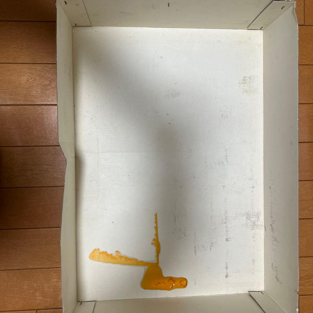 激レアTamiya Nissan Skyline GT-R Nismo 1/10