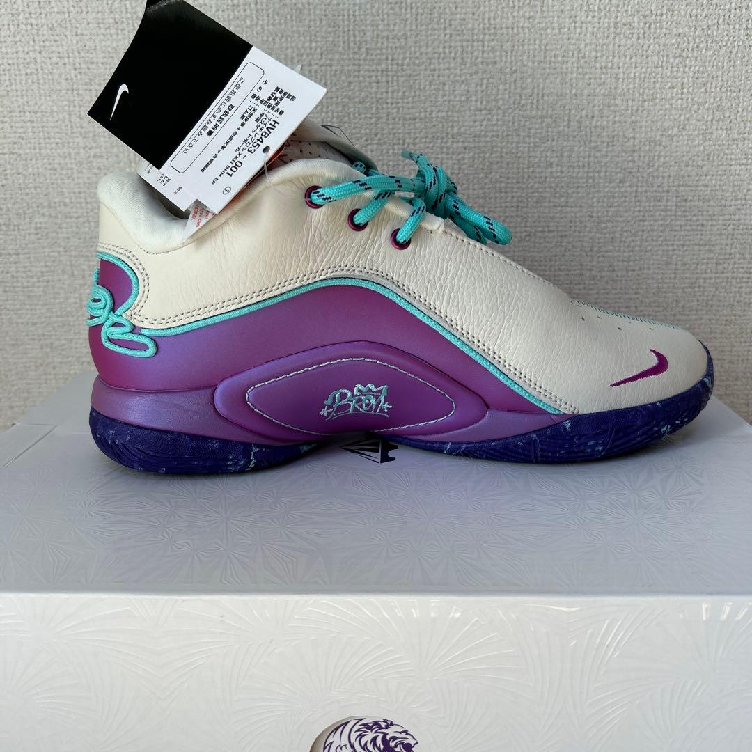 レブロン22 EP 24cm lebron 22 ナイキ　バッシュ