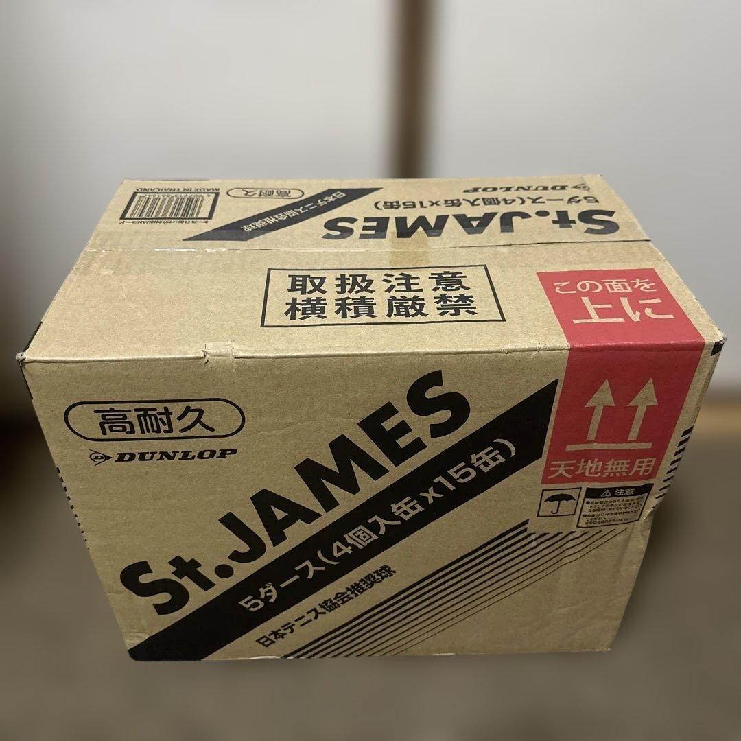 ダンロップ セントジェームス テニスボール 60球