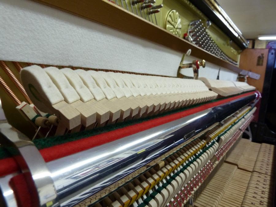 ★★★専門店整備済★シュベスター★No.51★オーバーホール（弦・他全交換）済み