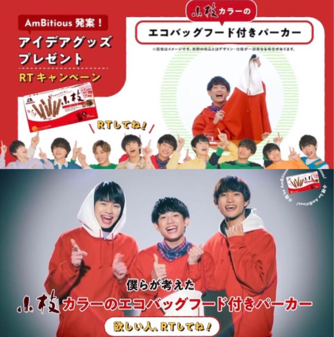 小枝 Ambitious アイデアグッズ パーカー