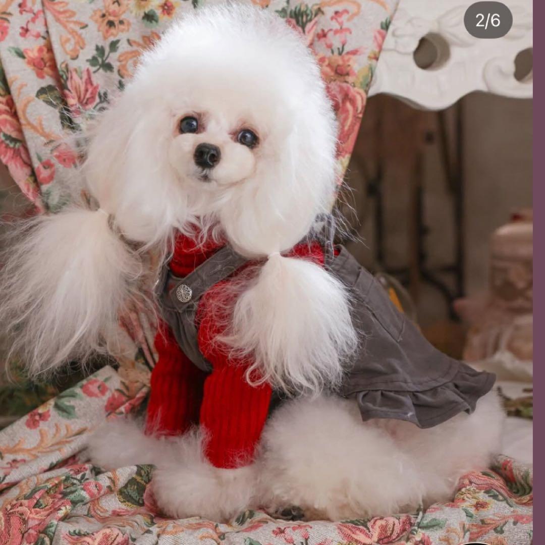 デニムジャンバースカート PPクローゼット