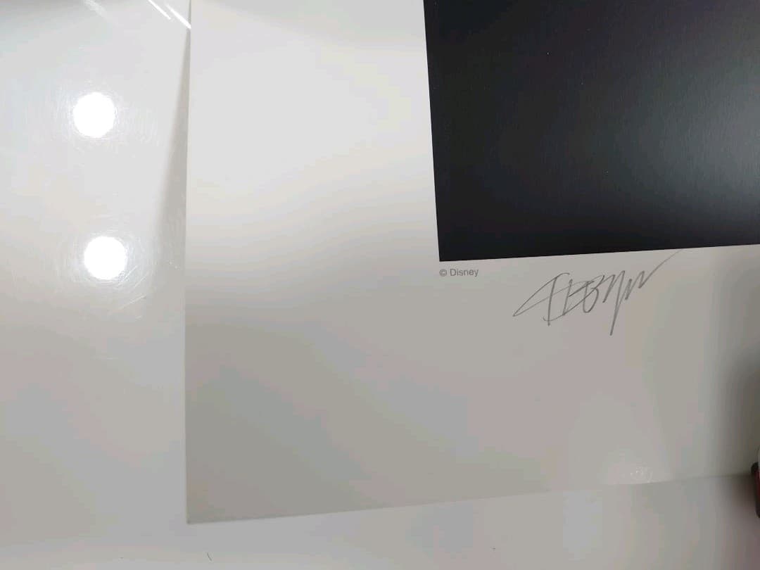 ディズニーワールド　直筆サイン　2000　限定　ポスター　リトグラフ　パレード