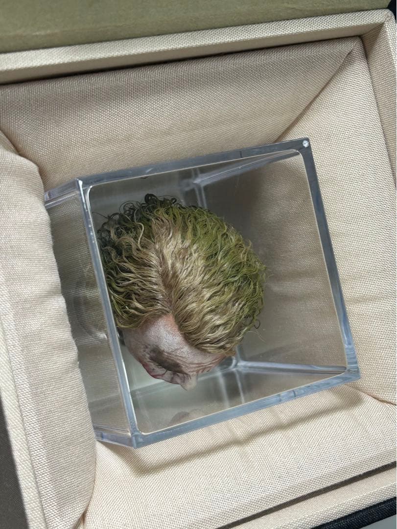 1/6 カスタム植毛ヘッド ダークナイト ジョーカー 審問1.0Ver