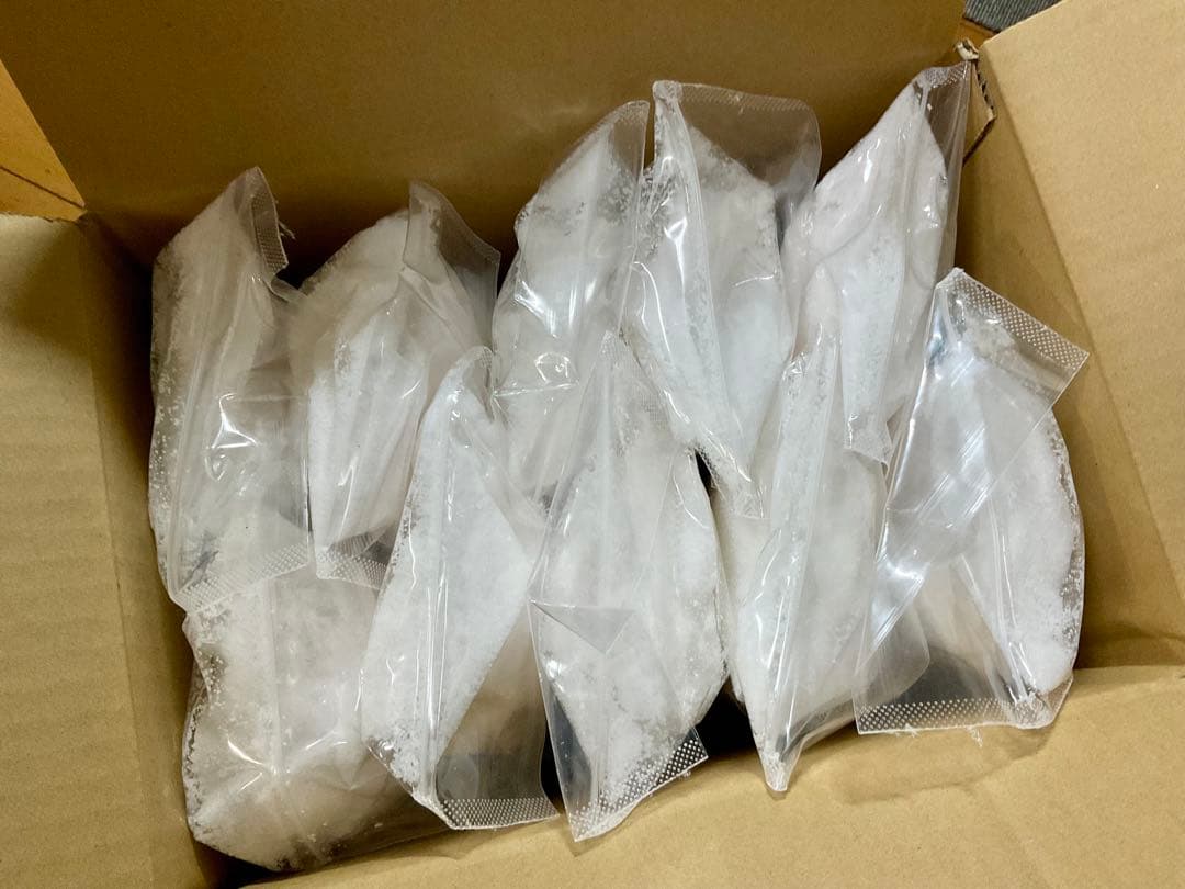 バリ島 クサンバの塩(完全天日塩)約10kg 【⚠️検品なし】限定SALE‼️