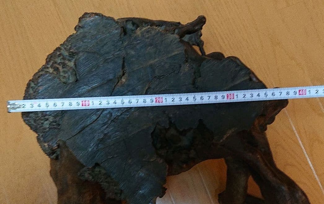 つつじの木 花台