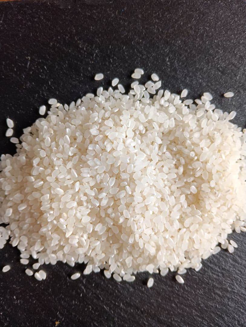 ヒノヒカリ　10kg　兵庫県産