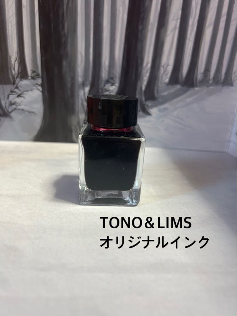 万年筆 ガラスペン インク とのりむ 文具館コバヤシ等 セット