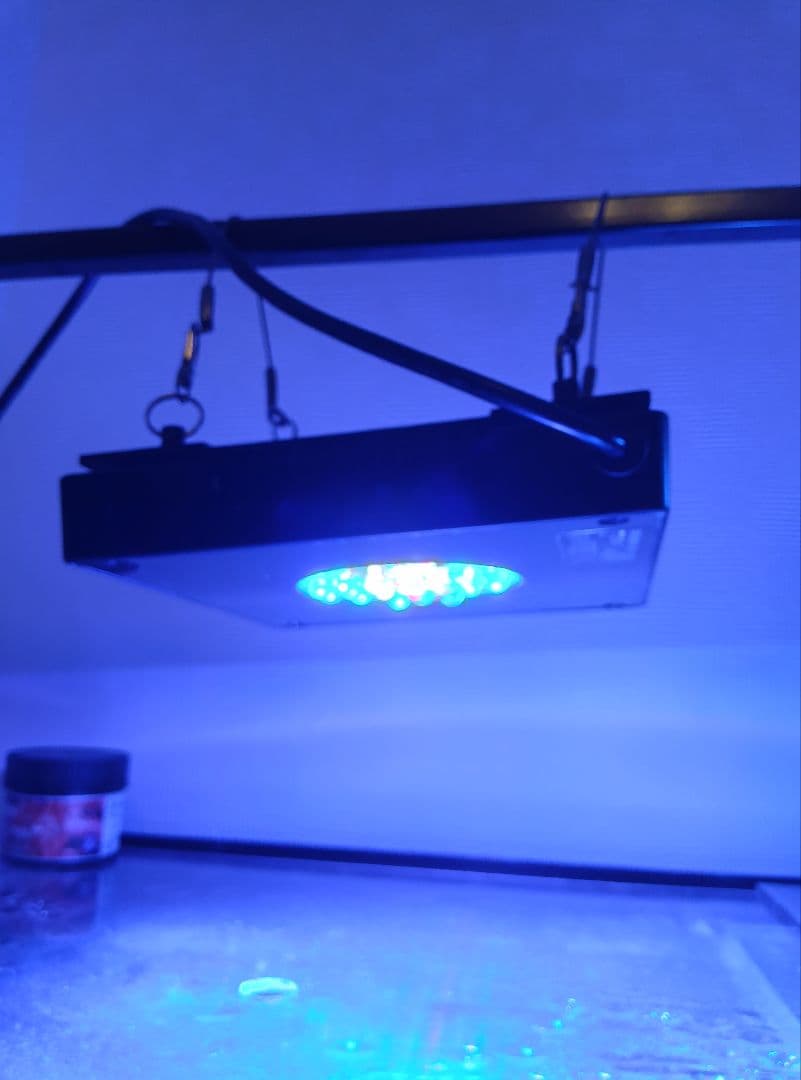 ライト・照明器具 radiong4