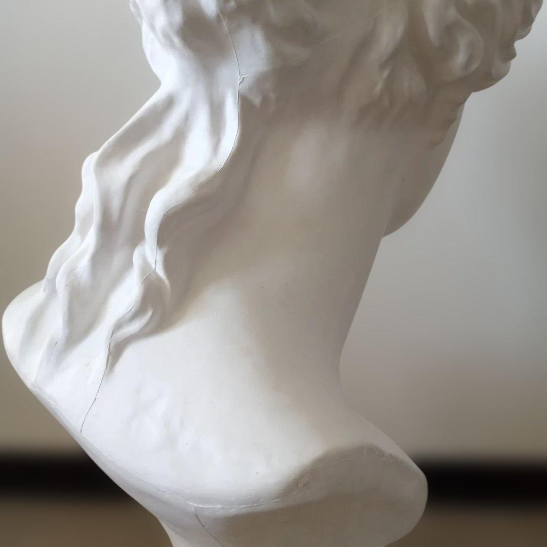 ミロのビーナス石膏像