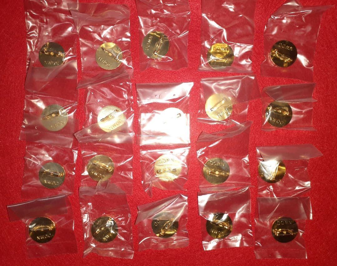 長野オリンピック　招致　ALPS　ピンバッジ　20個まとめ