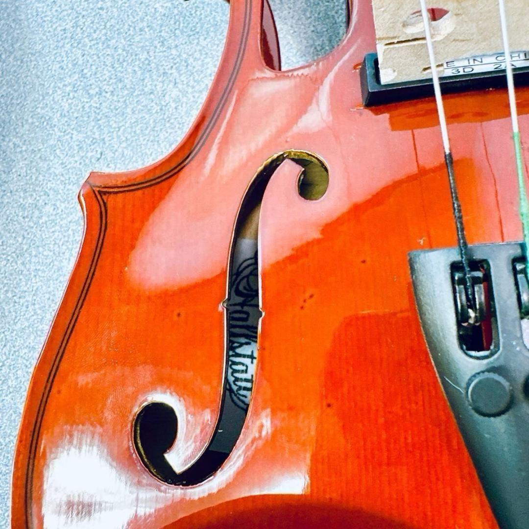 ハルシュタット エレキバイオリン CV210E　サイレント 4/4 タグ付