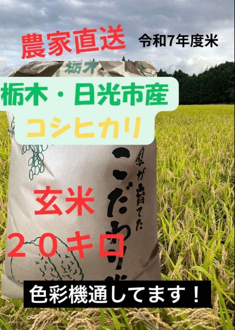 【令和7年産】栃木県日光市産 コシヒカリ 20kg（玄米）産地直送 注文後精米！
