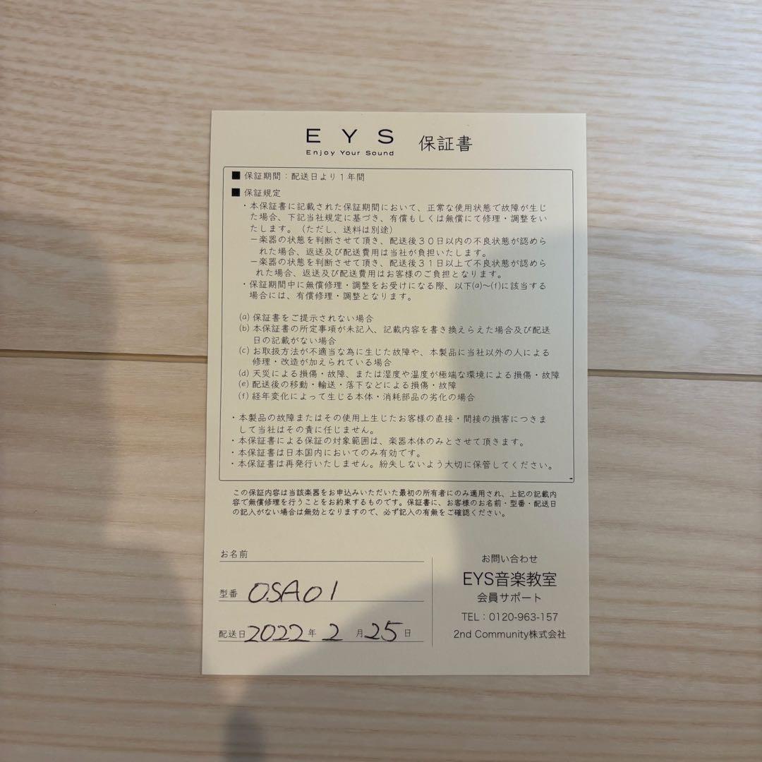 EYS アルトサックス EAS-01 ケース、クリーニング用品付