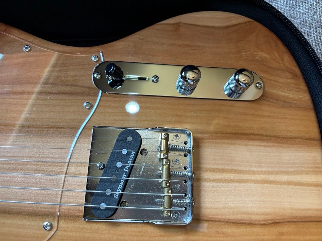 【信州ギター】Ogi Factory Apple-NT 2023 テレキャスター