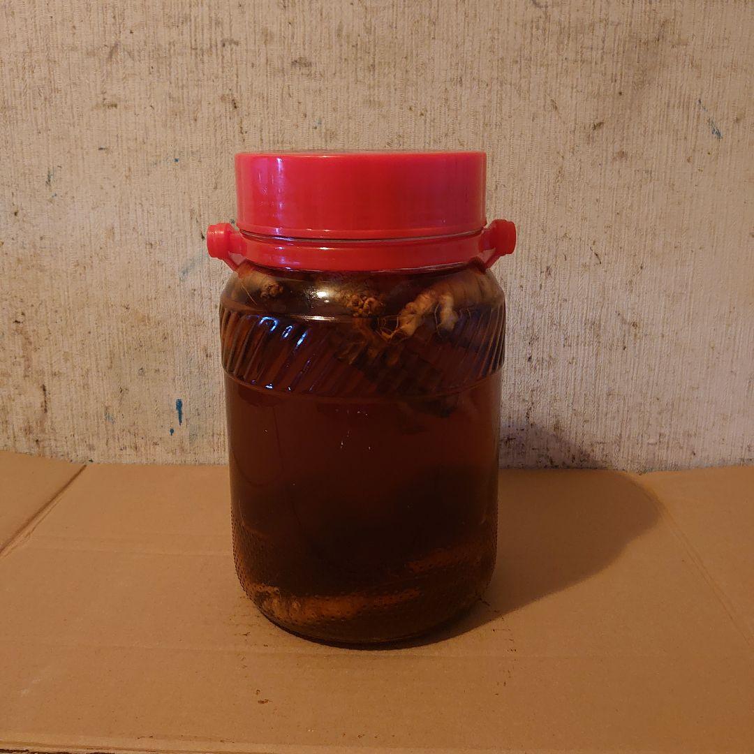 大阪府金剛山系二上山で採取りした天然物ツルニンジン酒3Ｌ入り ツルニンジン酒
