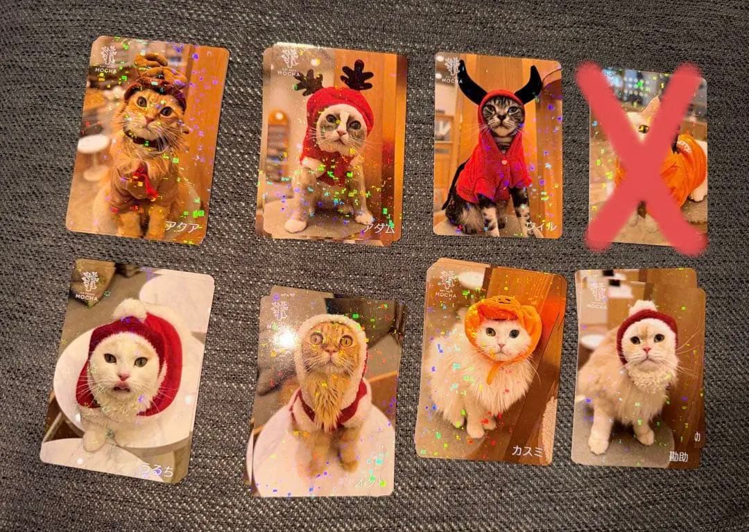 【バラ売り可】にゃんずトレカ甲府昭和店 2024