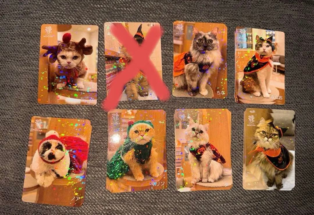 【バラ売り可】にゃんずトレカ甲府昭和店 2024