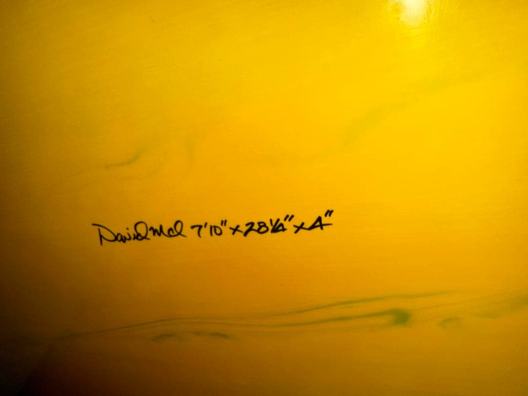 David Melのスタンドアップパドルボード