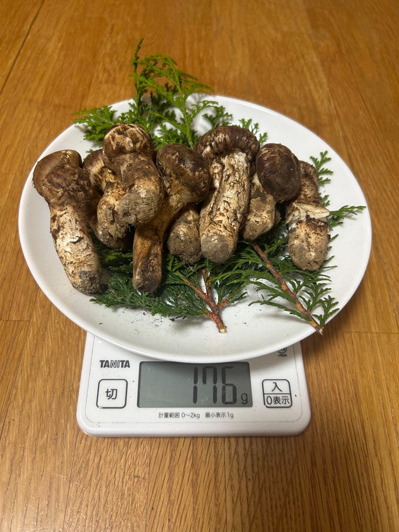 岩手県産松茸 176ｇ