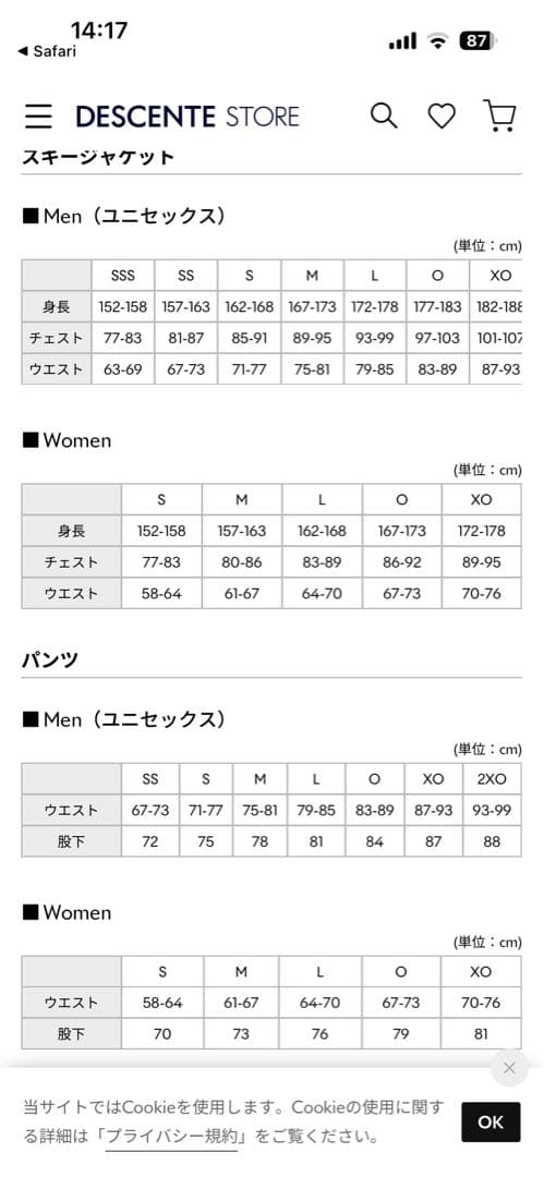 値引要請歓迎⭐️デサント⭐️スキー技術選　デモ上下セット（イエローブラック）Sサイズ