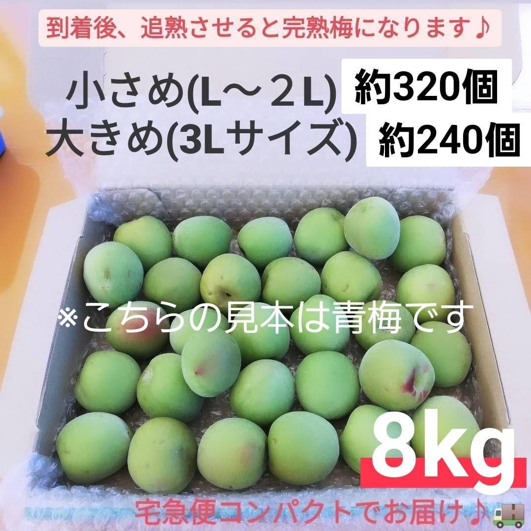【6月限定8kg】とれたて完熟梅 紀州南高梅