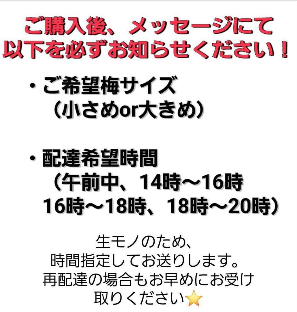 【6月限定8kg】とれたて完熟梅 紀州南高梅