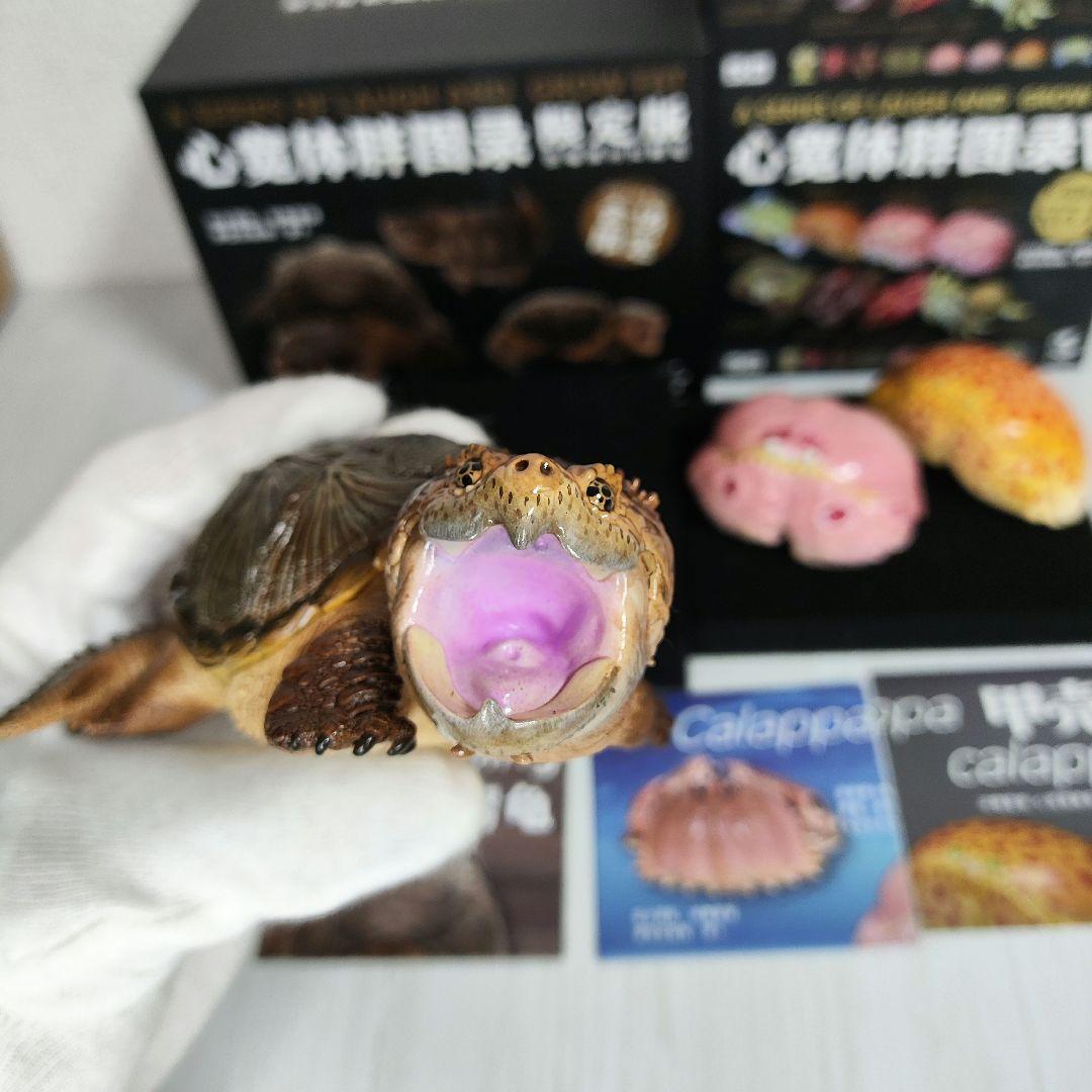 【動物の惑星】激レア★カミツキガメ限定品+カラッパ廃盤品!! フィギュア