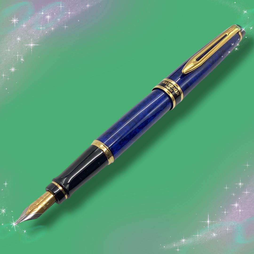 《おそらく未使用》 ウォーターマン 万年筆 エキスパートエッセンシャル