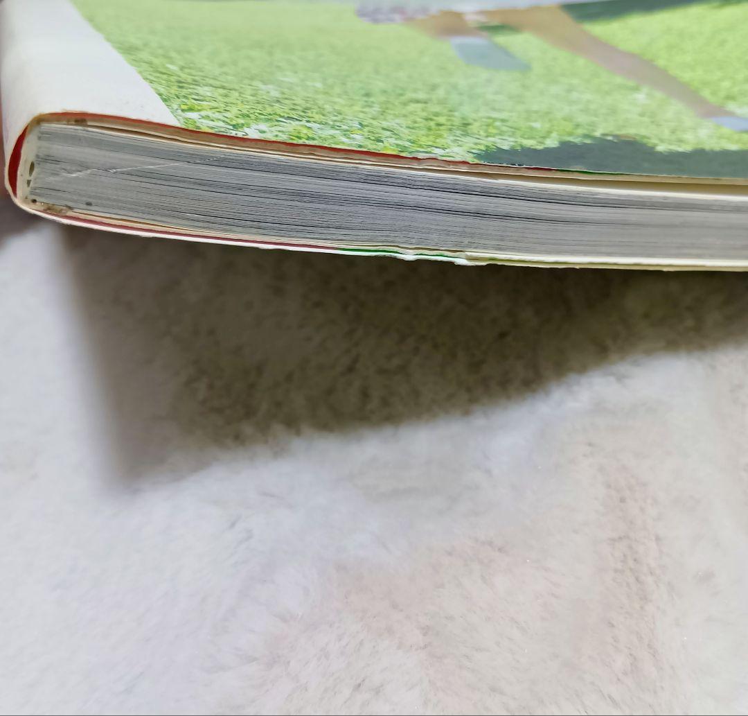 松田聖子さん　切り抜きいっぱいと写真集赤いスイートピー