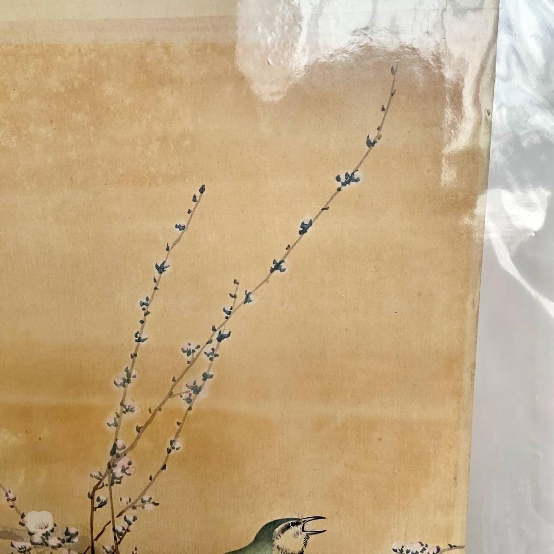小原古邨 祥邨 豊邨 『梅に鶯』 明治後期作 木版画 真作 美品 鳥 ウグイス