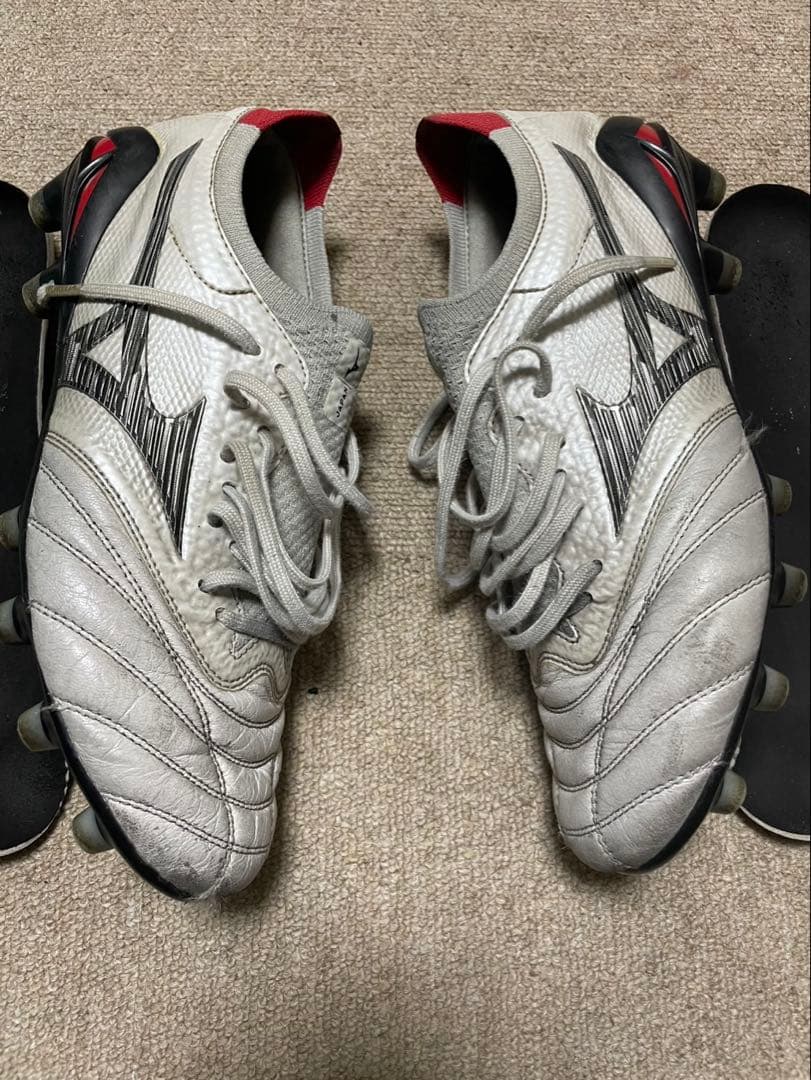 モレリアネオ4β