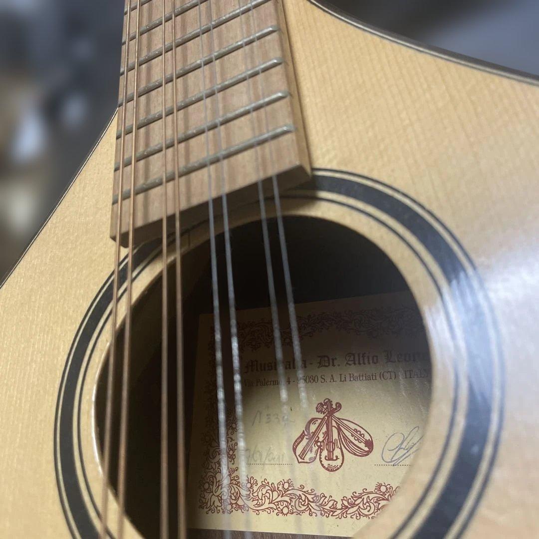 t*a様 ブズーキ　ソフトケース付　24年に弦交換済み