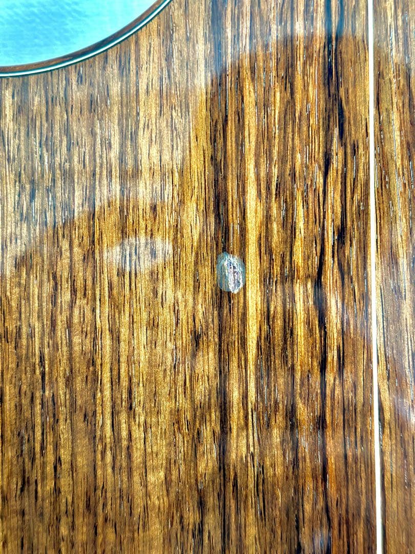 と*く様 Taylor 710CE アコースティックギター