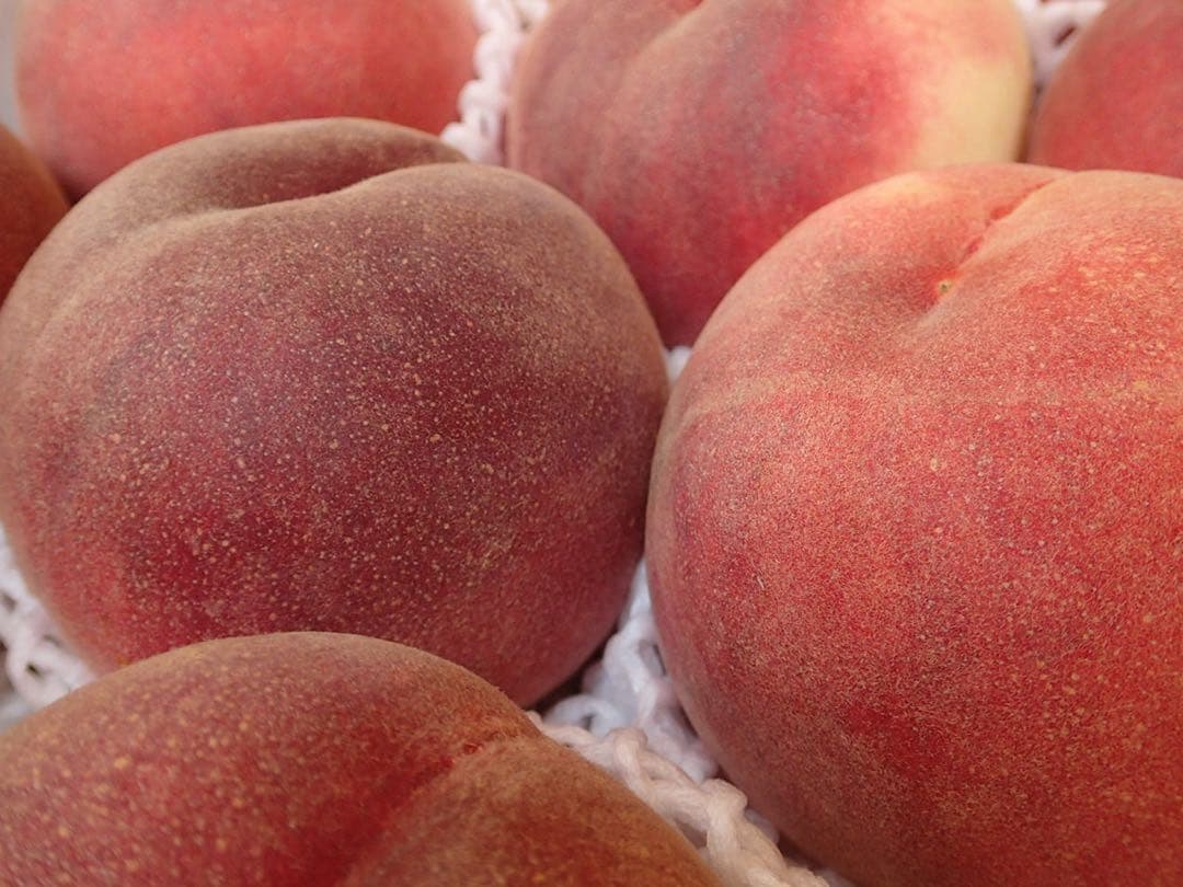 山梨最終のさくら白桃を5個詰めて2箱重ねて発送