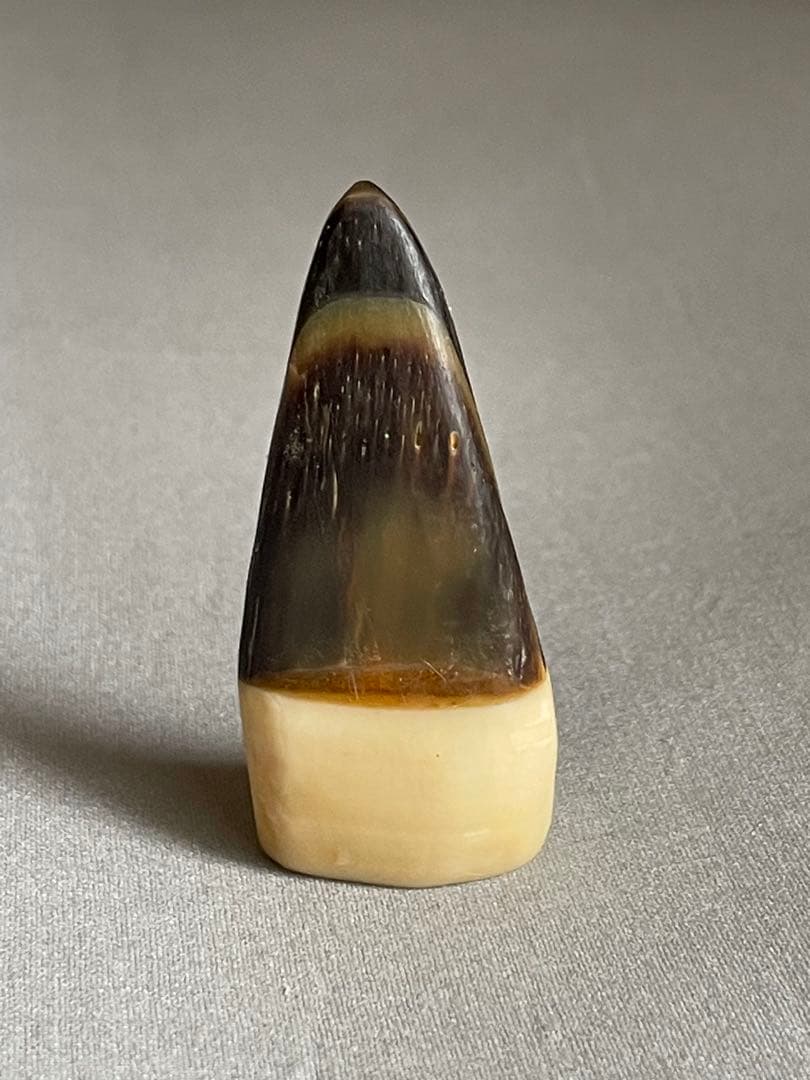 三線用　爪　鯨髭＋鯨歯　Aタイプ　最終出品分