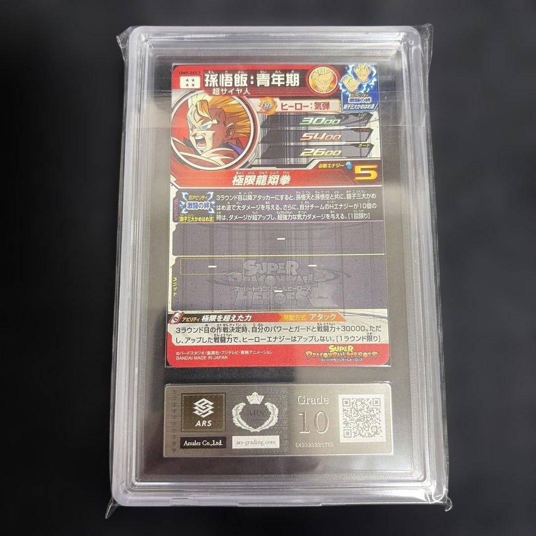 ARS10 UM7-SEC2 孫悟飯 青年期