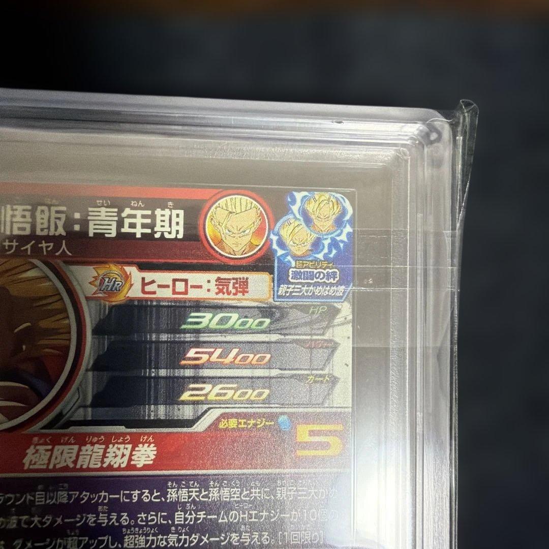 ARS10 UM7-SEC2 孫悟飯 青年期