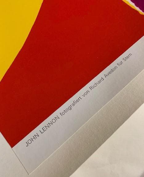 ジョン・レノン 1967年 リチャード アベドン アートポスター