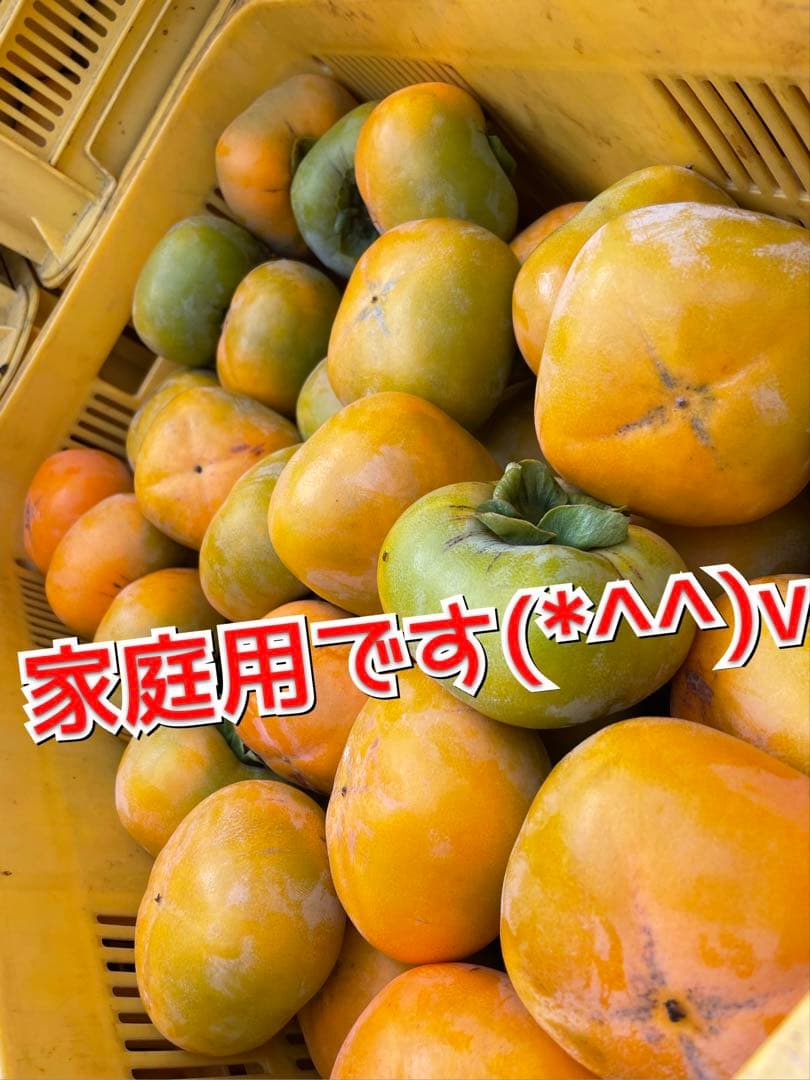 ぷーさん専用 柿 箱込20キロ 刀根柿 家庭用 なおキングの柿
