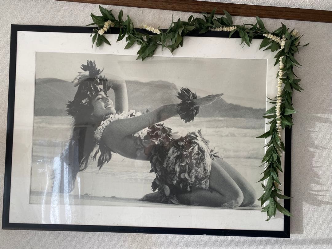 キムテイラーリース