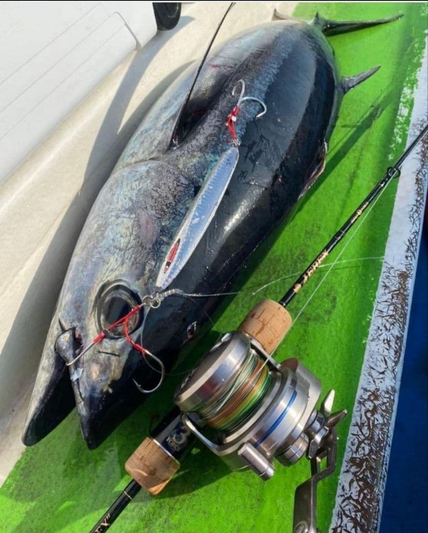 【新品☆】超レア☆シーフロア☆ジャレク３☆