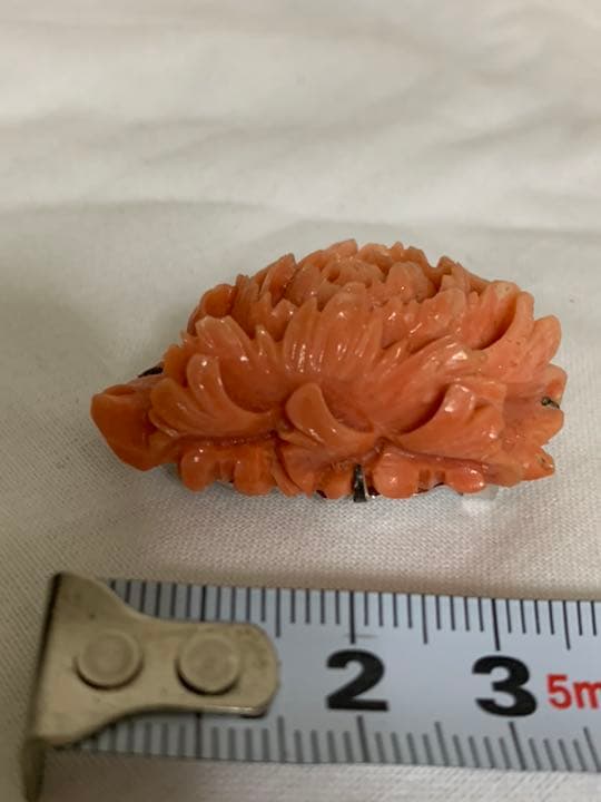 珊瑚 帯留 ブローチ