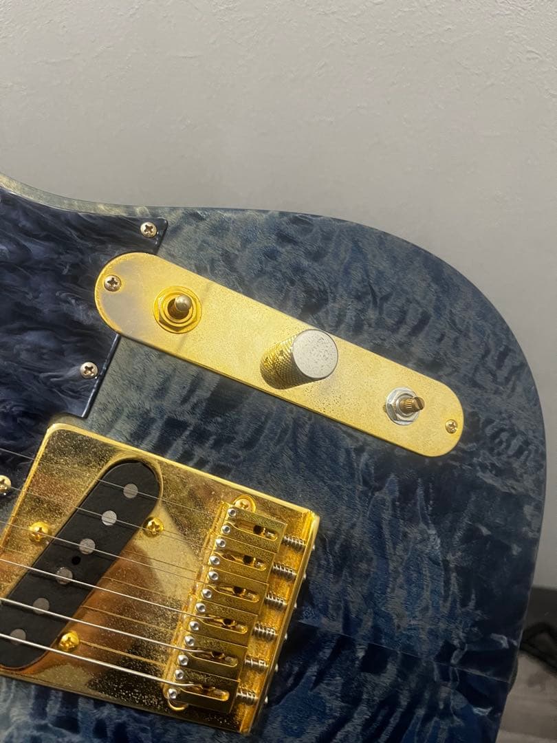 momose テレキャスターシンライン